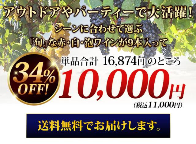 コチラの内容が入りまして