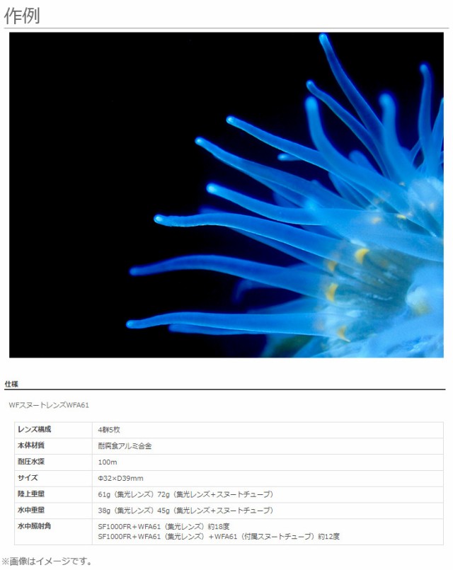weefine WFスヌートレンズWFA61 [30531] | フィッシュアイ公式
