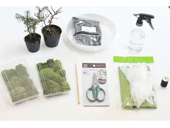 苔玉作りセット 季節