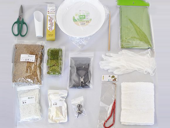 はじめての盆栽道具セット