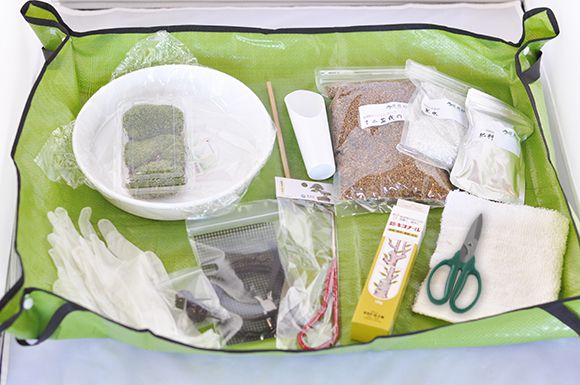 はじめての盆栽道具セット