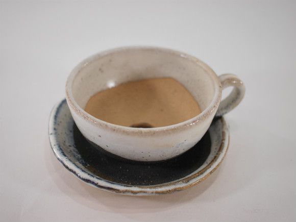 【信楽焼】【植木鉢】