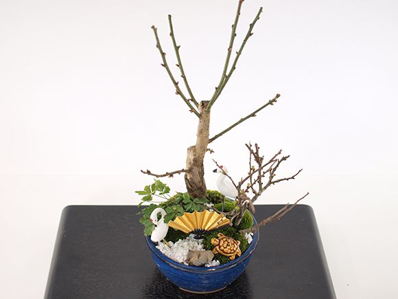 梅づくし 寄せ植え 