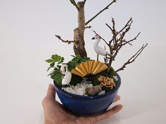 梅づくし 寄せ植え 