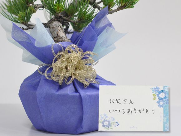 信楽焼き 小紋 (中