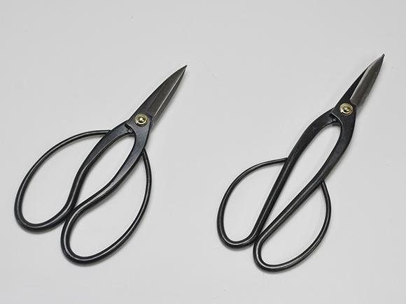 【ギフト 盆栽 開店