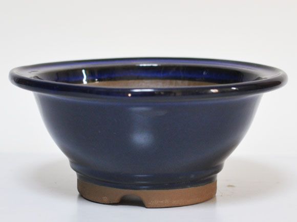 生子　すり鉢　[盆栽