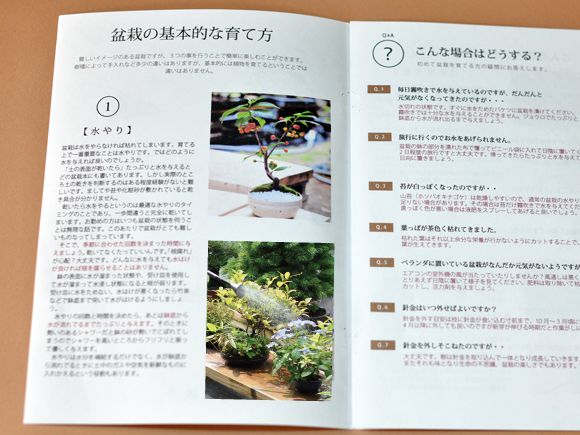 【敬老の日プレゼント