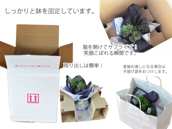 【敬老の日プレゼント