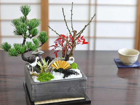 盆栽 松竹梅の寄せ植