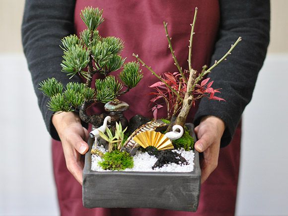 盆栽 松竹梅の寄せ植