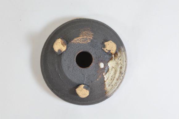 自由研究 盆栽を作る