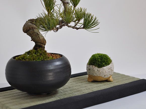 ミニ畳　長方形  [