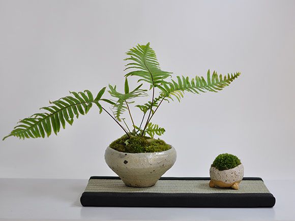 ミニ畳　長方形  [