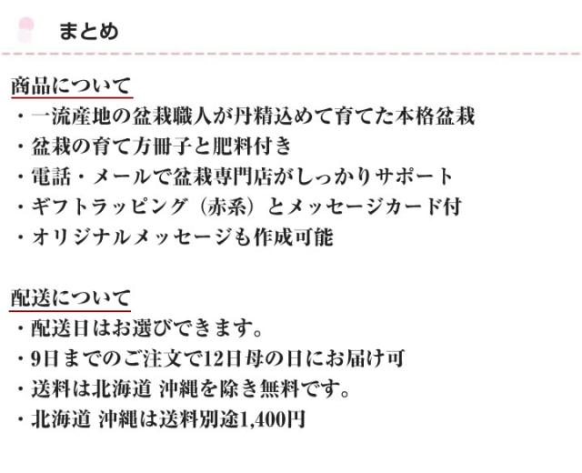 メッセージカード