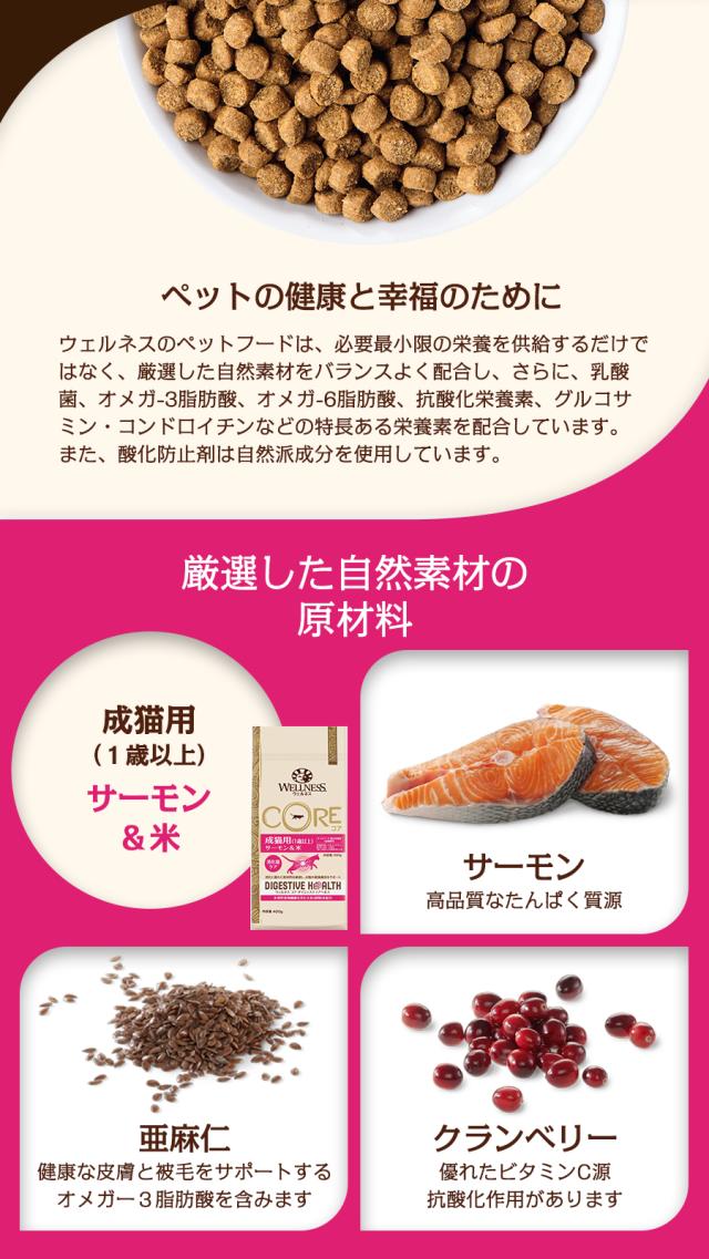 ダイジェスティブヘルス 成猫用 サーモン&米