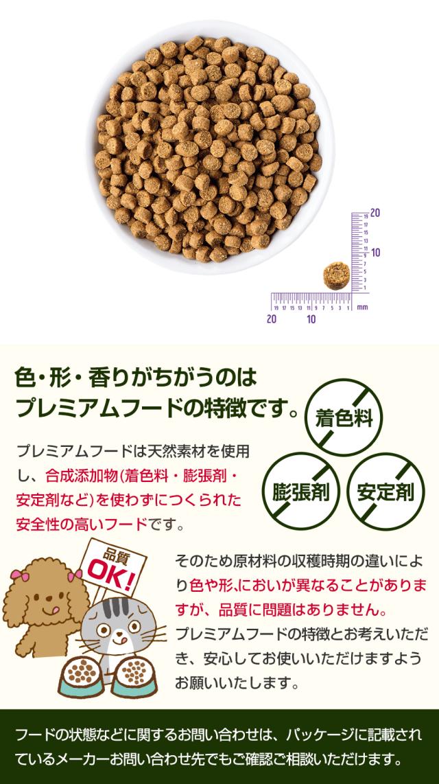 粒