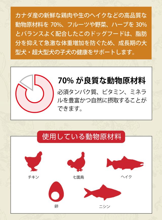 パピーラージフ゛リート゛レシピ