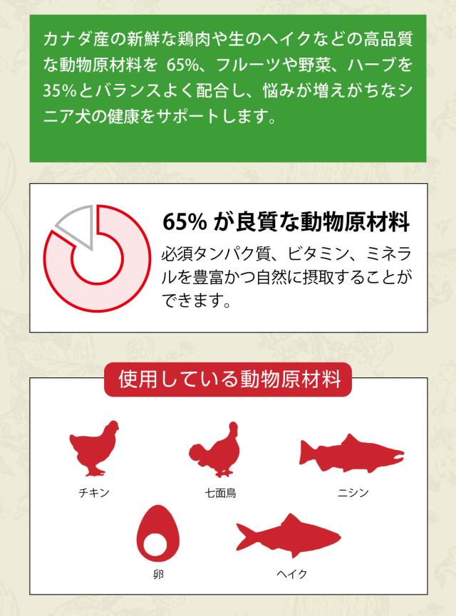 シニアドッグレシピ