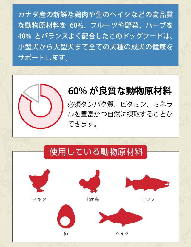アダルトドッグレシピ