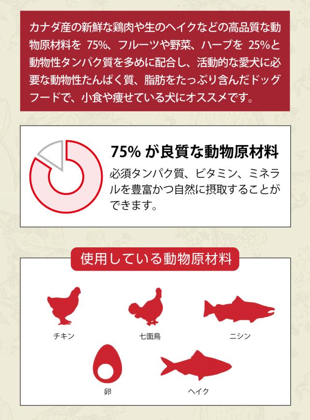 スポーツ&アジリティレシピ