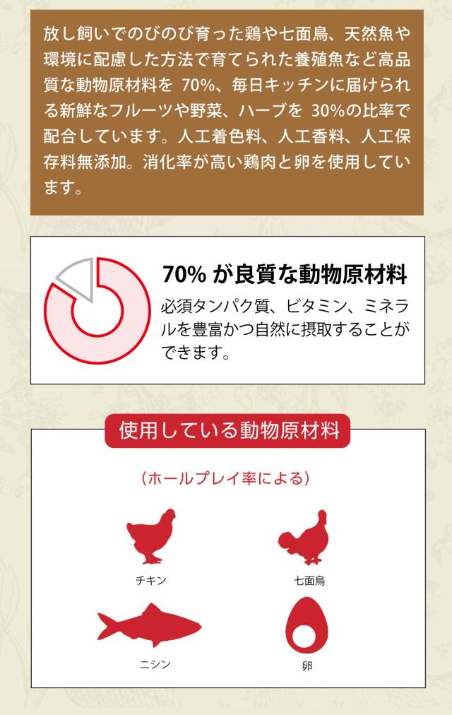 ワイルドプレイリードッグレシピレシピ