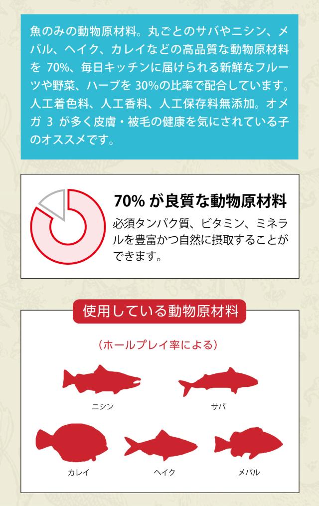 パシフィカドッグ