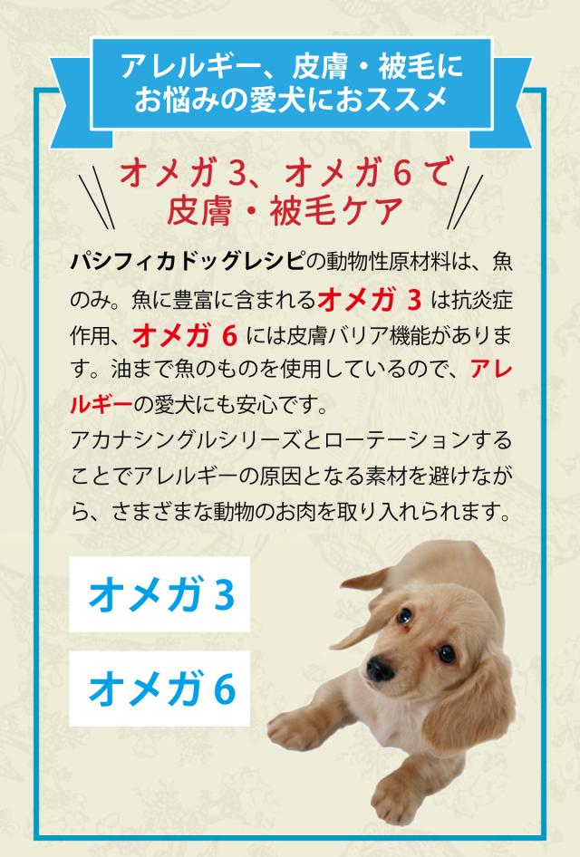 パシフィカドッグ