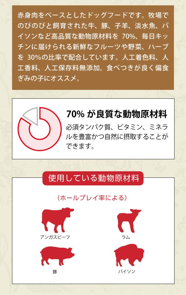 ランチランドドッグレシピ