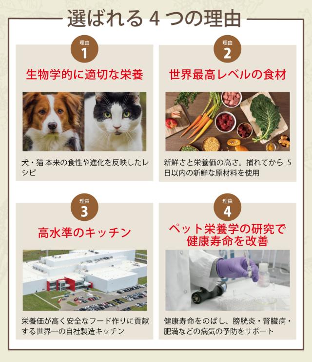 アカナについて