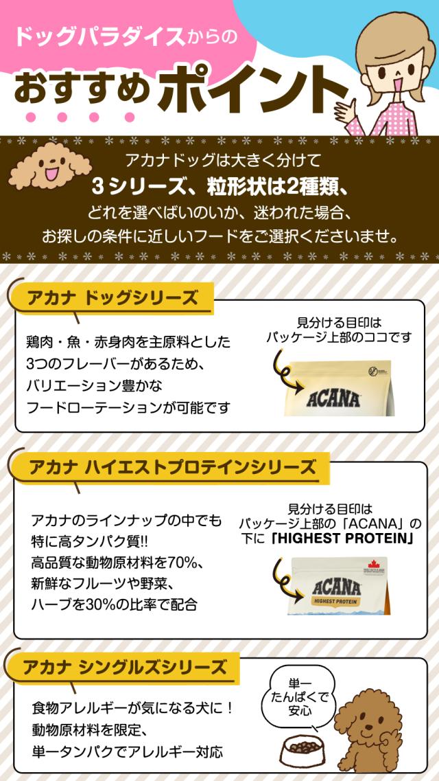 おすすめポイント