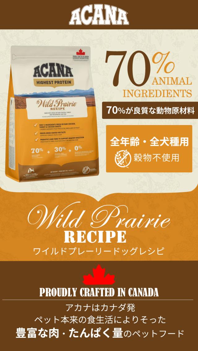 ワイルドプレイリードッグレシピレシピ