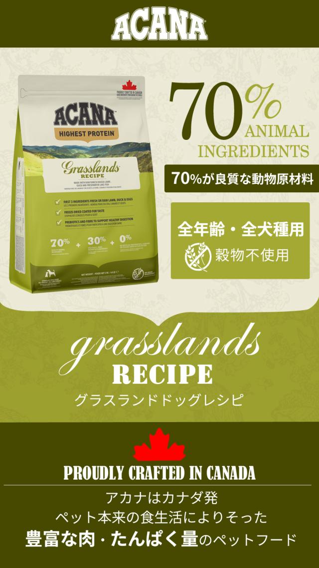 グラスランドドッグレシピ