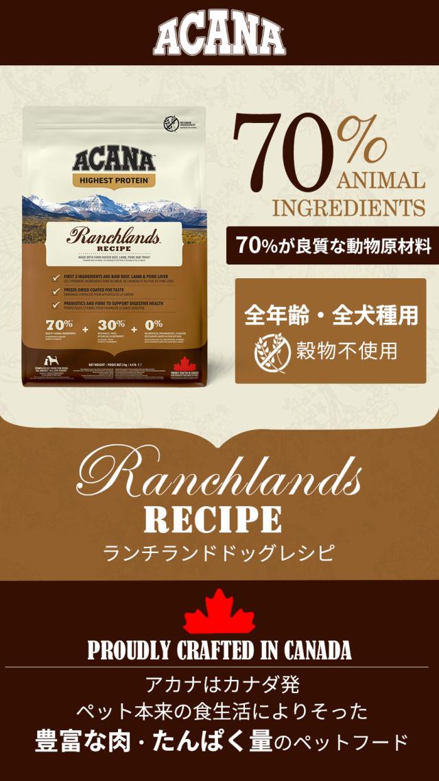 ランチランドドッグレシピ