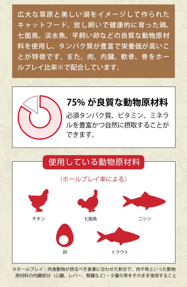 ワイルドプレイリーキャット