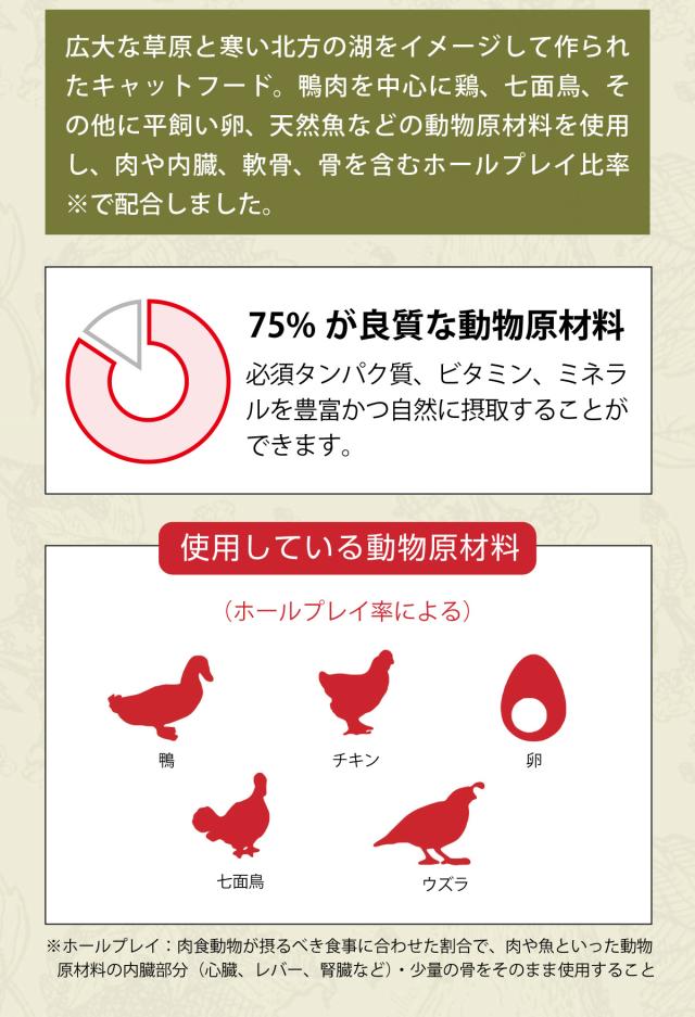 グラスランドキャット