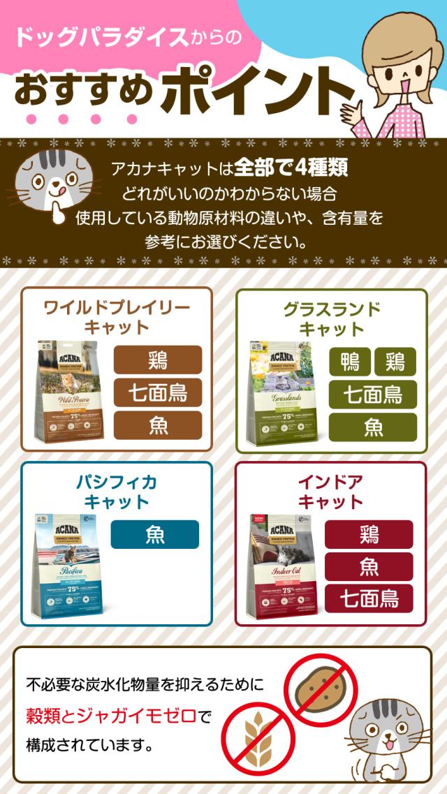 おすすめポイント