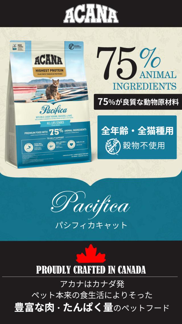 ハ゜シフィカキャット