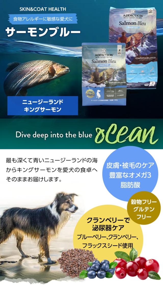 アディクション　ドッグ　サーモンブルー