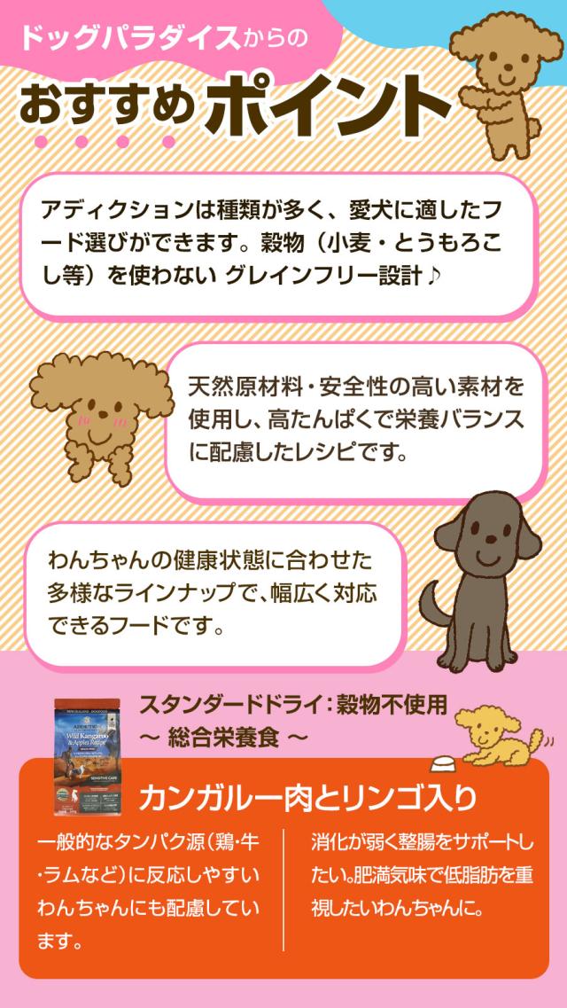 おすすめポイント