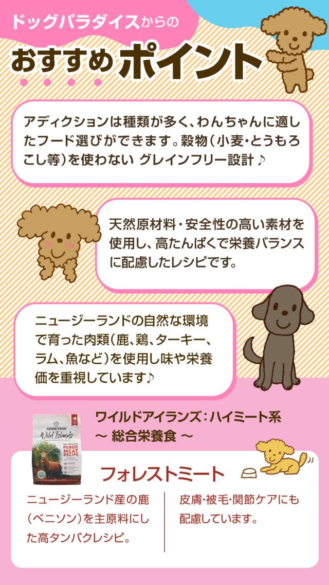 おすすめポイント