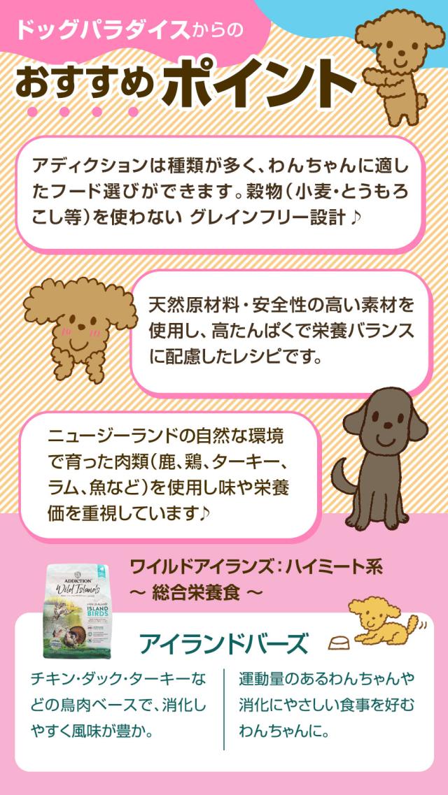 おすすめポイント