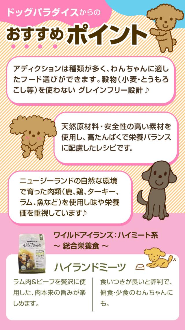 おすすめポイント