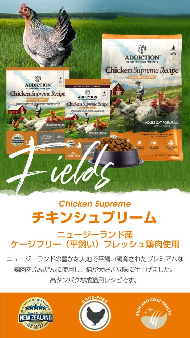 アディクション