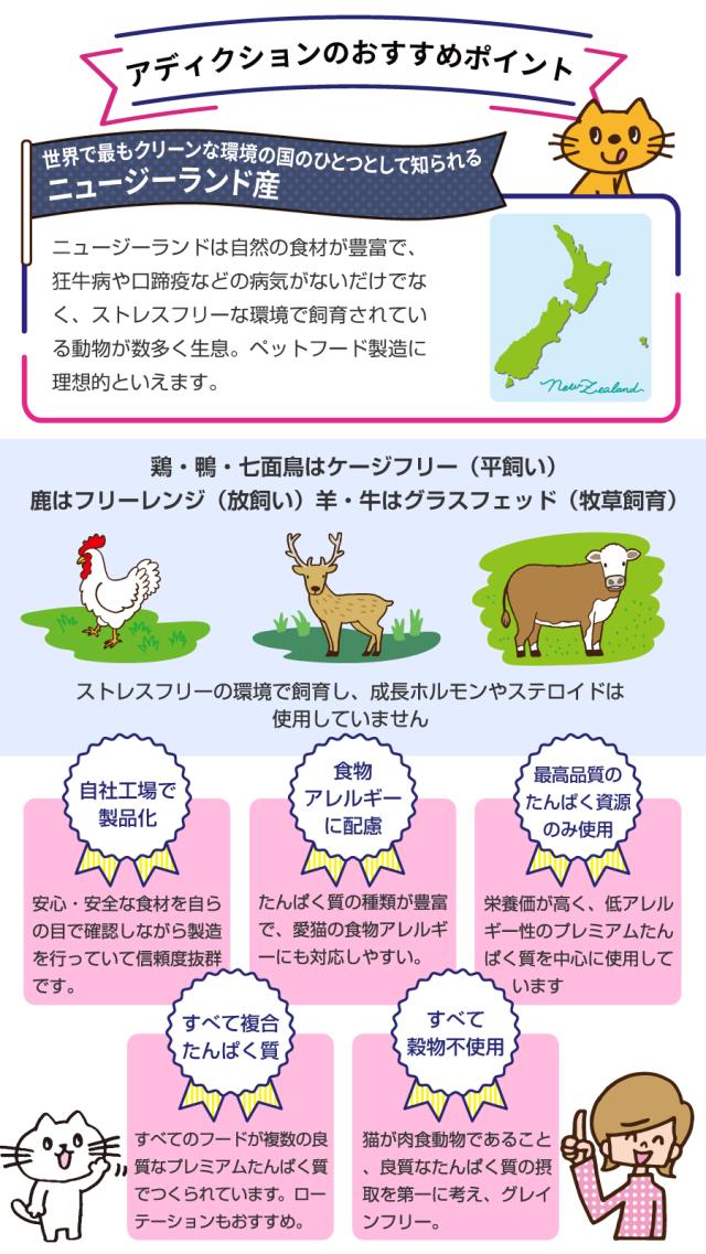 おすすめポイント