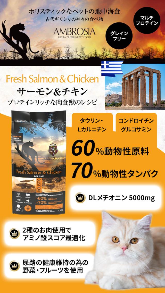 アンブロシア　キャット　サーモン＆チキン