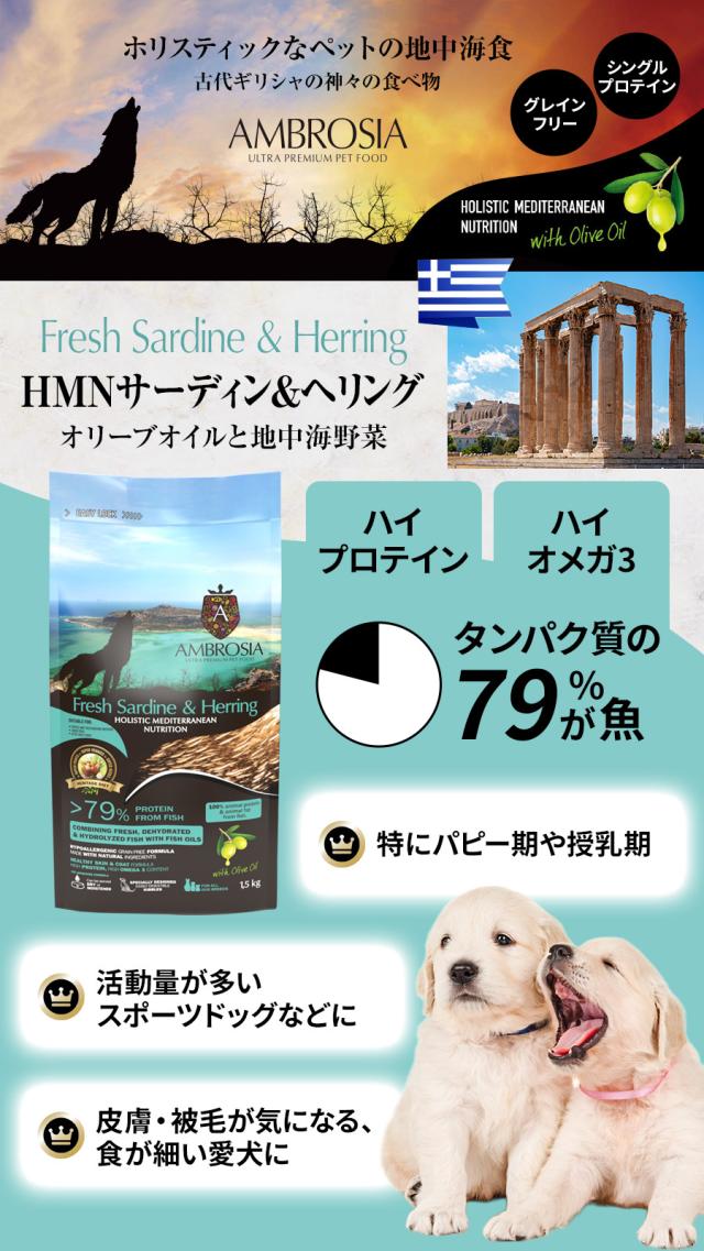 アンブロシア　HMN　サーディン＆ヘリング