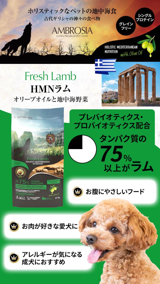 アンブロシア　HMN　ラム