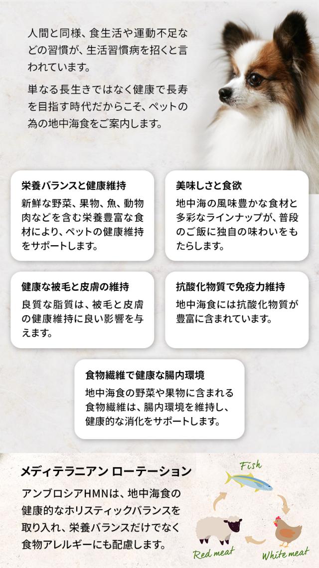 アンブロシア犬