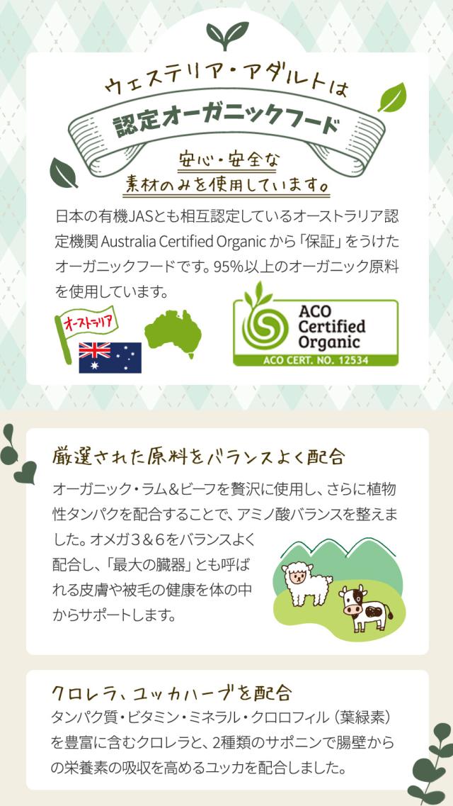 ウィステリアアダルト